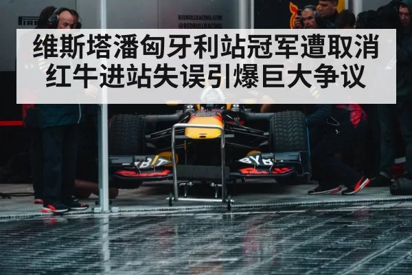 Red Bull racing team